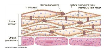 有人去中医院做过光子嫩肤,有没有人做过激光嫩肤