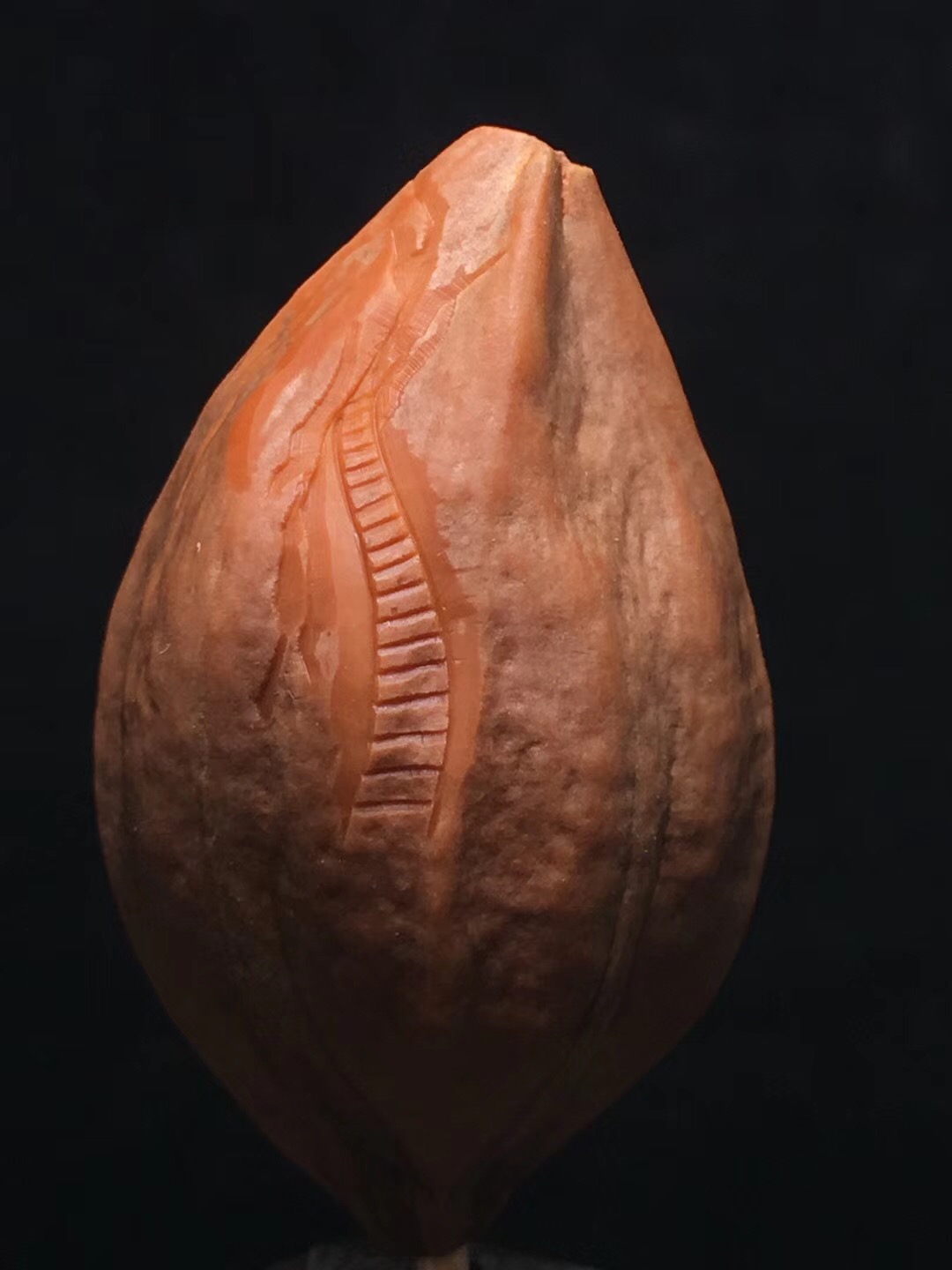 橄榄核的好处与坏处,橄榄核对身体好吗