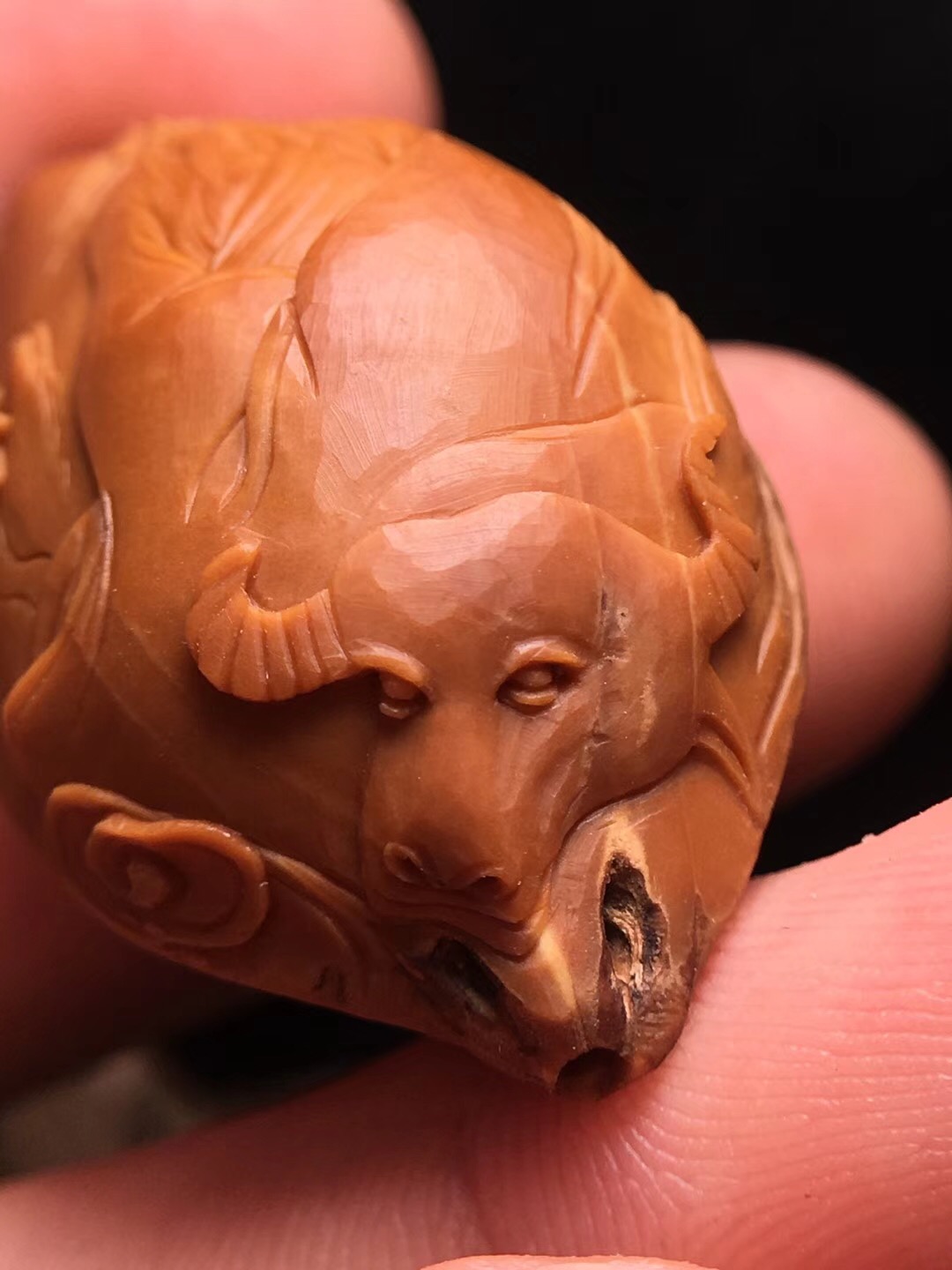 橄榄核的好处与坏处,橄榄核对身体好吗