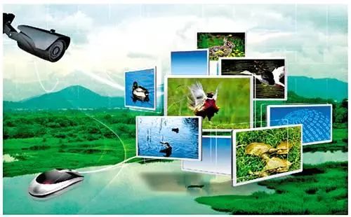 养猪怎么才能提高经济效益,养猪的经济效益和社会效益