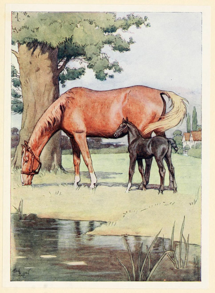 銆婇粦楠忛┈銆嬪畨濞溌峰缁村皵鍒涗綔鑳屾櫙,榛戦獜椹畨濞滃缁村皵鏁呬簨姊楁