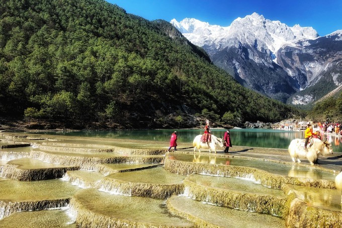 云南八日：看我家帅气小哥哥如何拍照？网友：花痴也要有限度