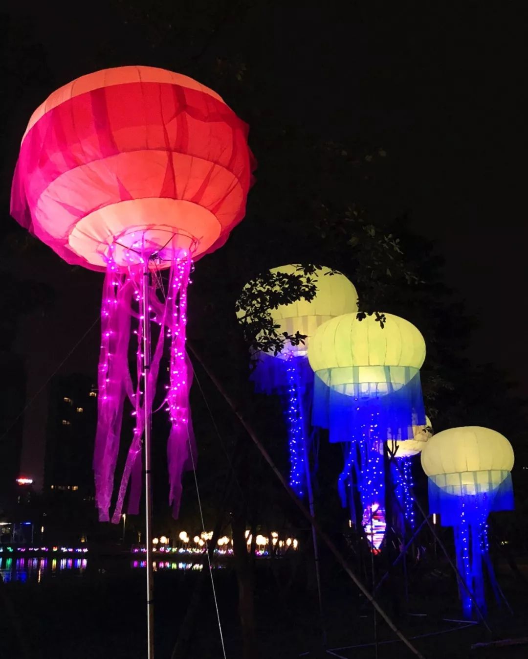 美美美!现在起到10月底,佛山这个超靓灯会喊你来约会,免费!