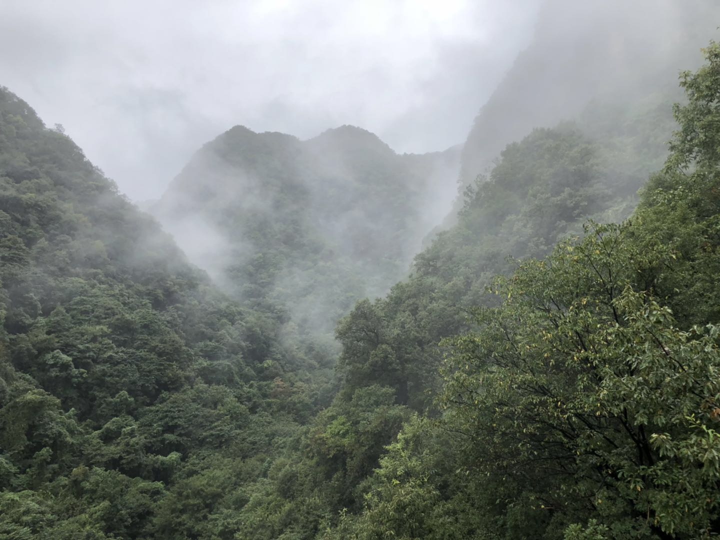 人间仙境洛阳栾川老君山,河南旅游景点推荐洛阳重渡沟