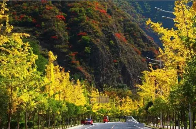 进藏哪条路线风景最好,进藏路线哪条线风景最好