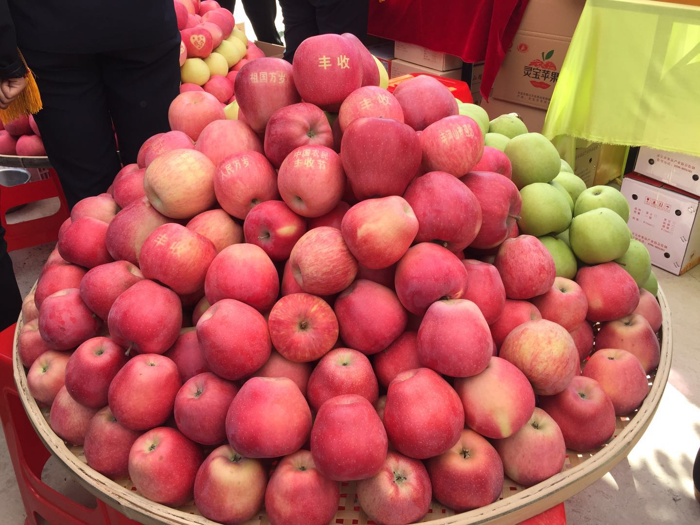 灵宝苹果采摘节开幕式,河南灵宝苹果熟了邀您来采摘