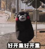 口红怎么鉴定银的真假,如何鉴定香奈儿口红真假