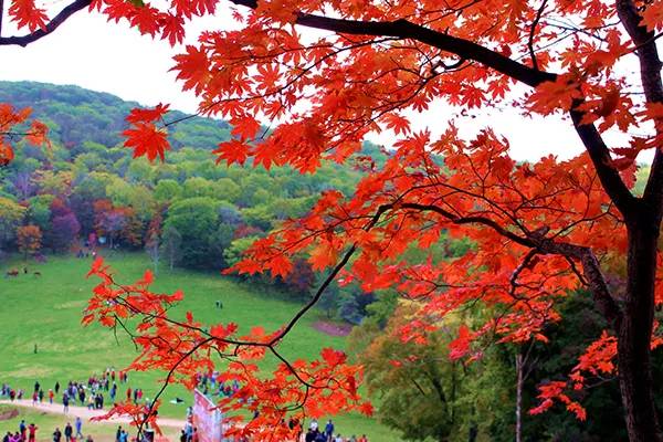 农秀才：农业农村部推荐100个休闲农业和乡村旅游精品景点线路