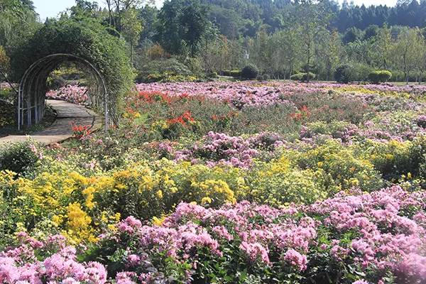 农秀才：农业农村部推荐100个休闲农业和乡村旅游精品景点线路
