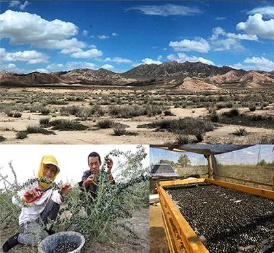 农秀才：农业农村部推荐100个休闲农业和乡村旅游精品景点线路