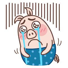 跟着萌宠过国庆，准备好迎接惊喜了吗？