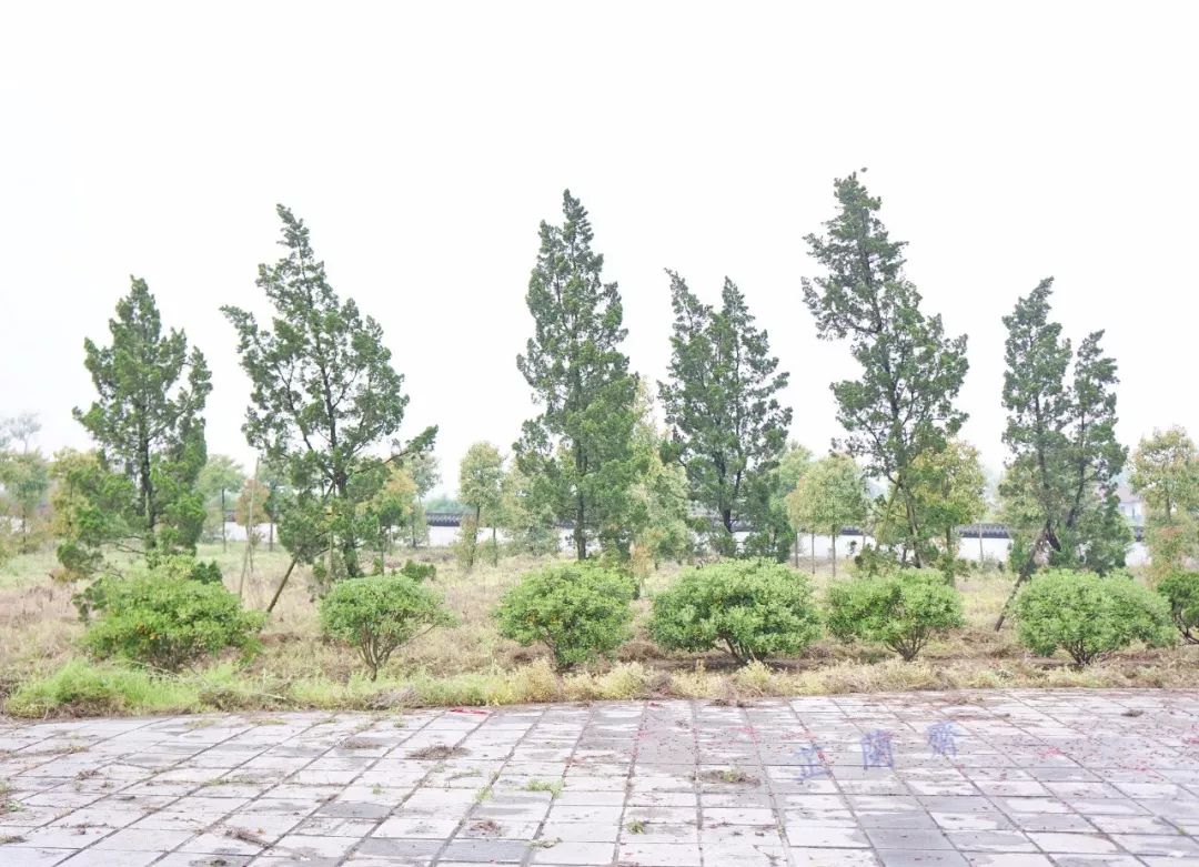 袁宗道高中语文,袁宗道介绍