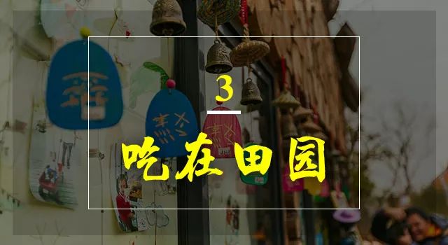 无锡阳山田园风光,无锡阳山东方田园游记