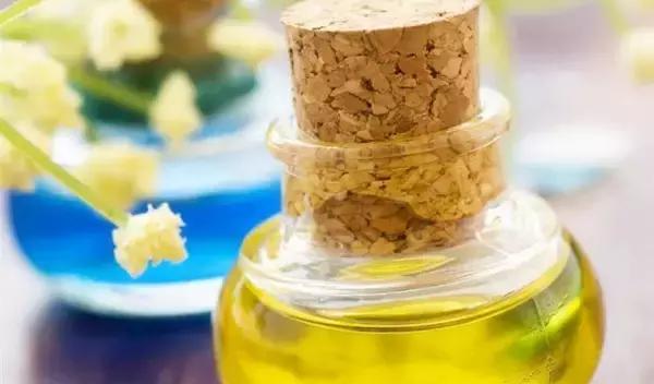 油烟机的废油别扔留下省钱又实用,抽油烟机排出废油可以当花肥料