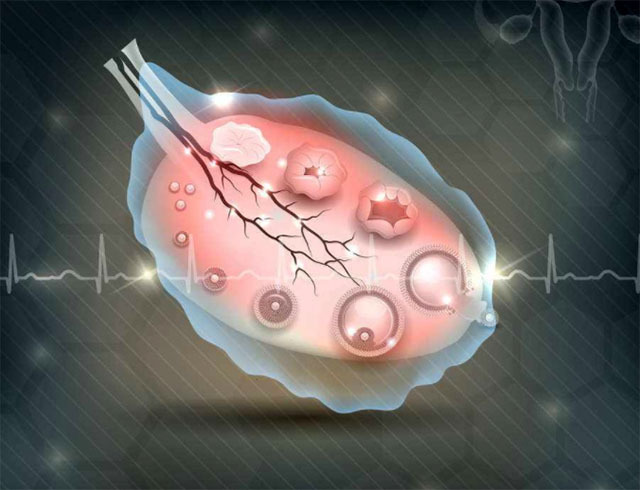 月经40天的女人怎么计算排卵期,月经周期不稳定如何计算排卵期