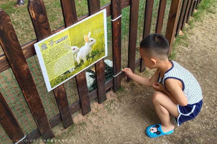 三亚海棠湾酒店推荐经济实惠,三亚海棠湾万丽酒店攻略
