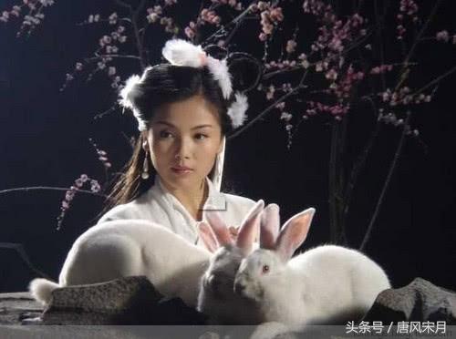 八戒跟嫦娥是怎么认识的,八戒与嫦娥什么关系