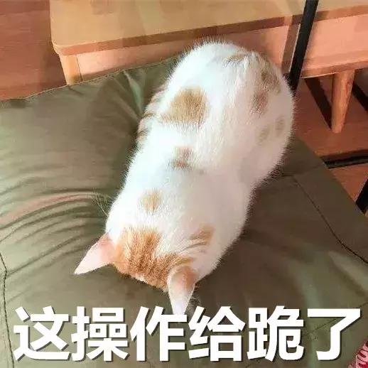 借强东大佬这档事儿，八卦下让土豪们ssfd的「仙人跳」是啥意思