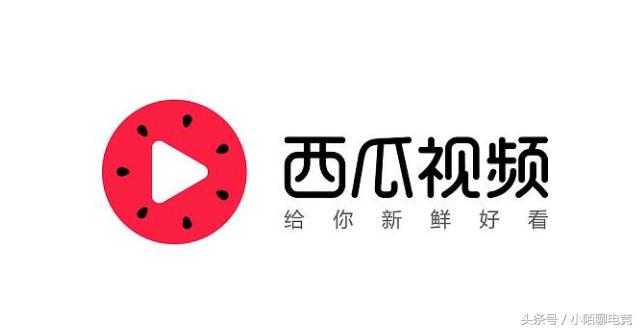 西瓜视频直播官方怎么申请,怎么才能开通西瓜视频直播
