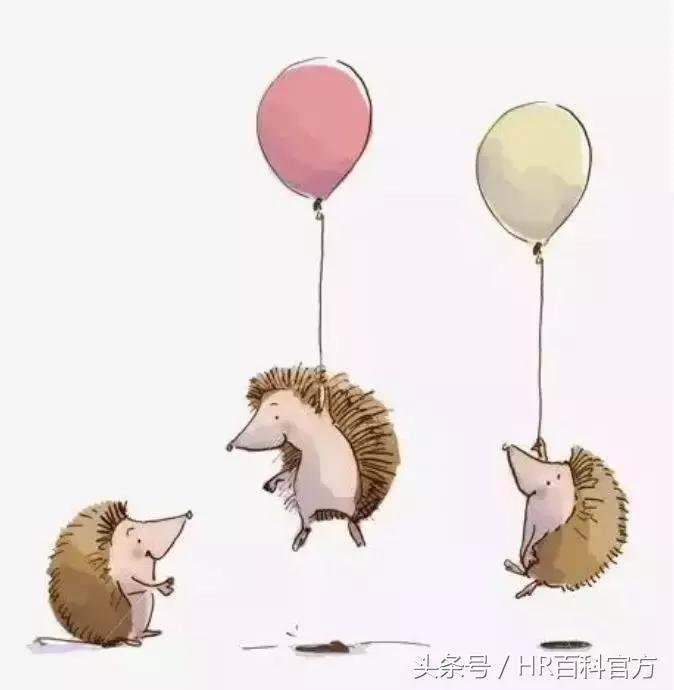 HR态度篇：做“耐”、“撕”的刺猬