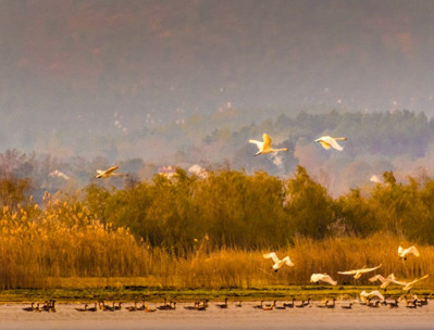 中国姓氏排名高姓,立体姓氏头像高姓