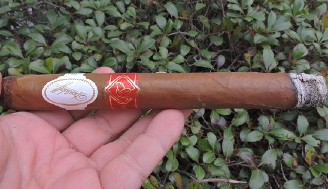 非古巨蛋雪茄,皇家大卫杜夫雪茄