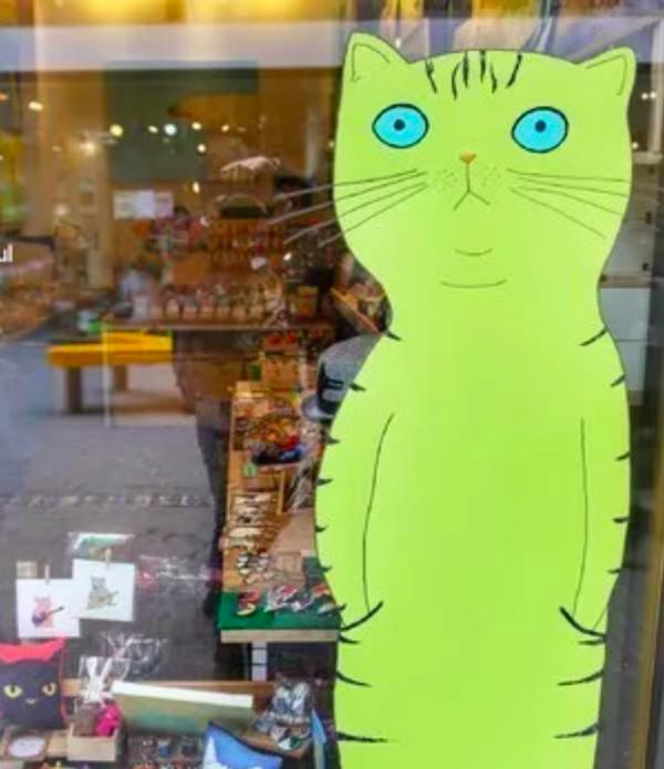 到济州岛旅行行程,济州岛一年往返12次