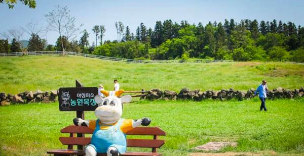 到济州岛旅行行程,济州岛一年往返12次