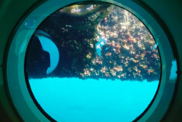 济州岛一年往返12次,到济州岛旅行行程