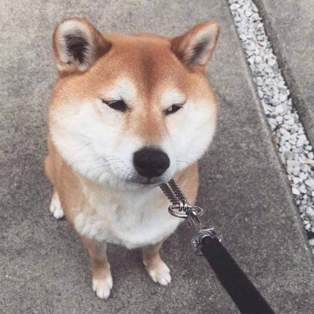 早安坚持励志正能量的句子朋友圈,晚上加班发朋友圈励志的精美句子