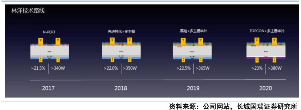 林洋能源发展前景,林洋能源未来走势