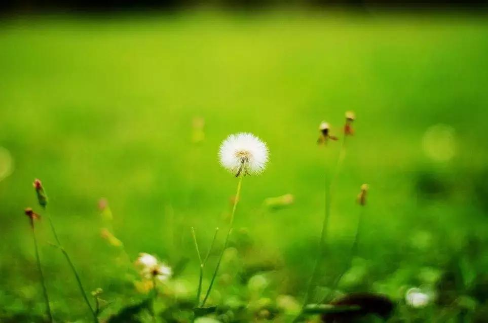 宋氏三姐妹的爹妈是谁,宋氏三姐妹与父母的合影