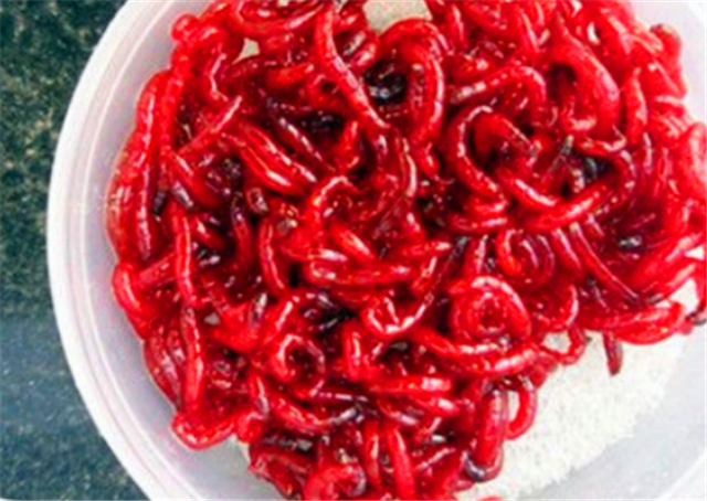 红虫蚯蚓颗粒配什么饵料钓鲫鱼,春季红虫蚯蚓饵料野钓哪个最好