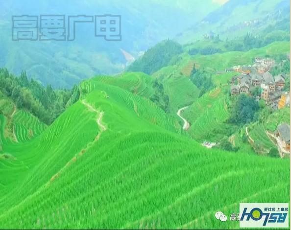 我区学习借鉴龙胜县旅游发展经验打造“河乐水”乡村旅游示范区助推乡村振兴