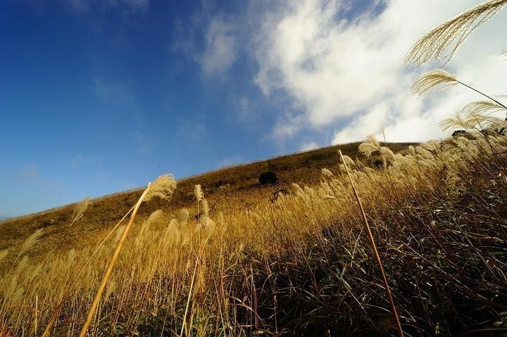广东绝美高山大草甸,南方高山草原风景
