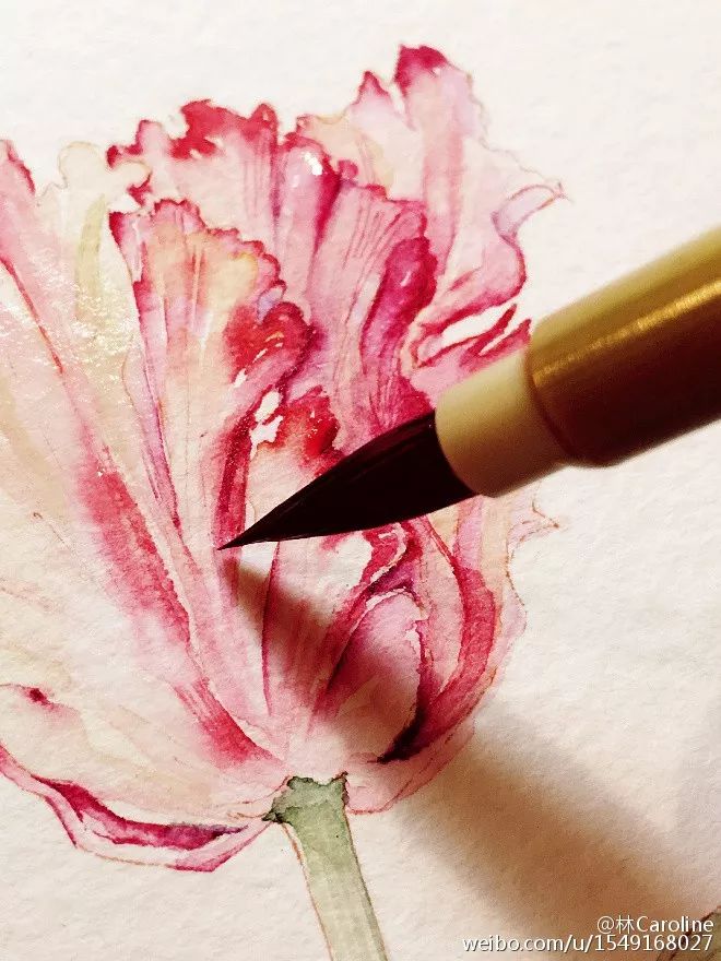 央视最美插画,央视点赞最美老师