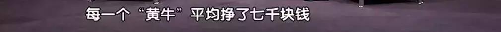 这才是爆笑国产喜剧,这几年搞笑的国产喜剧