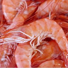 广州旅游景点排行榜前十名有哪些,广州旅游攻略必去十大景点沙面岛