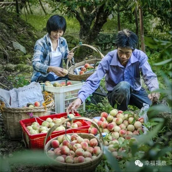 福鼎的这个足球小镇，火了！来看看它如何逆袭~