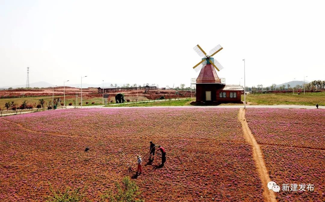 南昌新建区重要消息,南昌县撤县设区消息