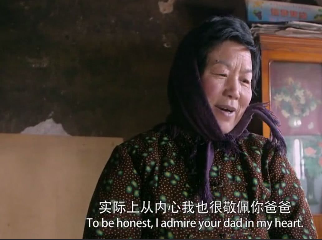 中国农村电影豆瓣,中国乡村大型纪录片