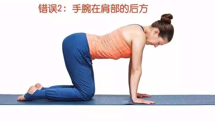 猫牛式动作讲解,猫牛式正确练习和错误练习