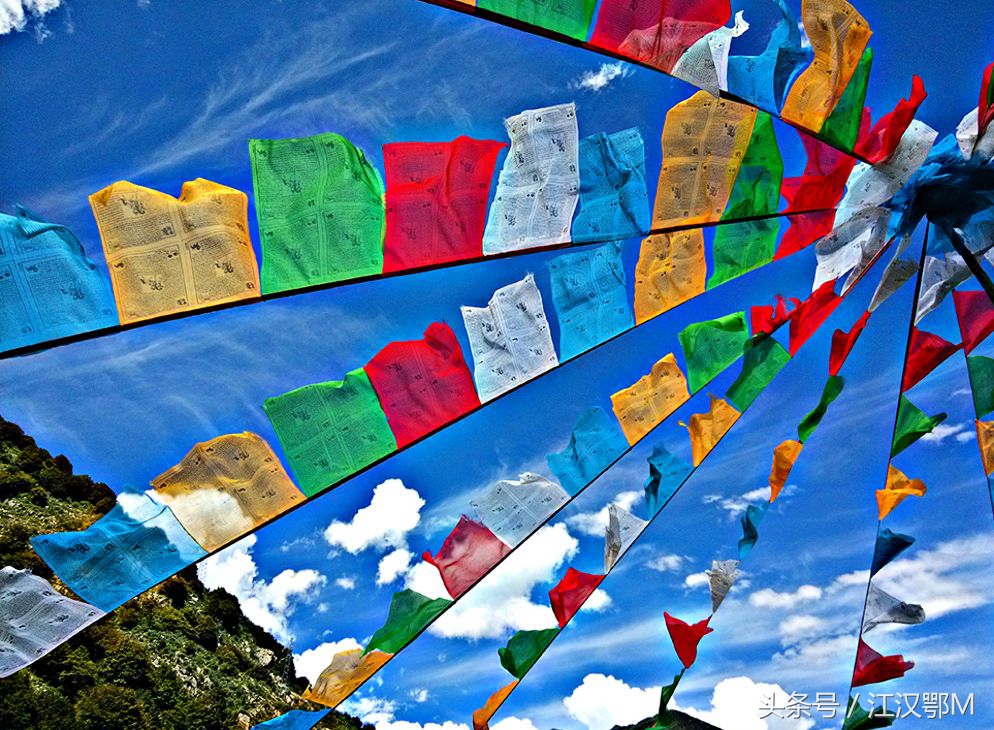 城市普拉多视频,城市向东向南完整版