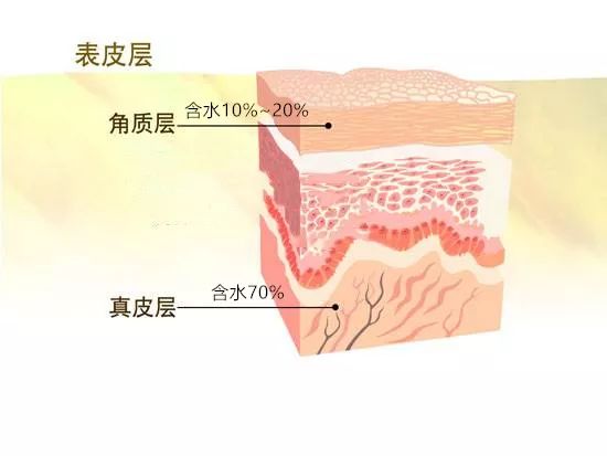 护肤偷懒我的脸竟然一整个垮掉,冬季脸皮干燥起皮怎么护肤