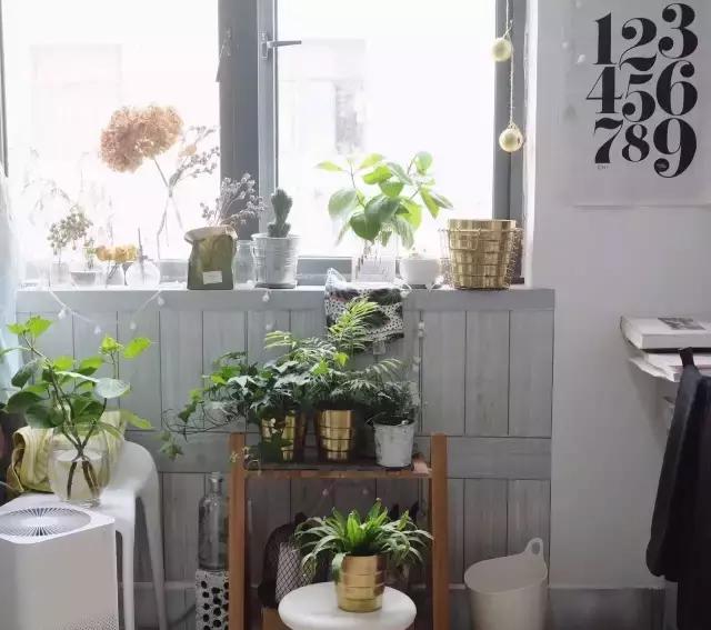 学子进阶攻略|如何在超小空间的宿舍玩转极简风