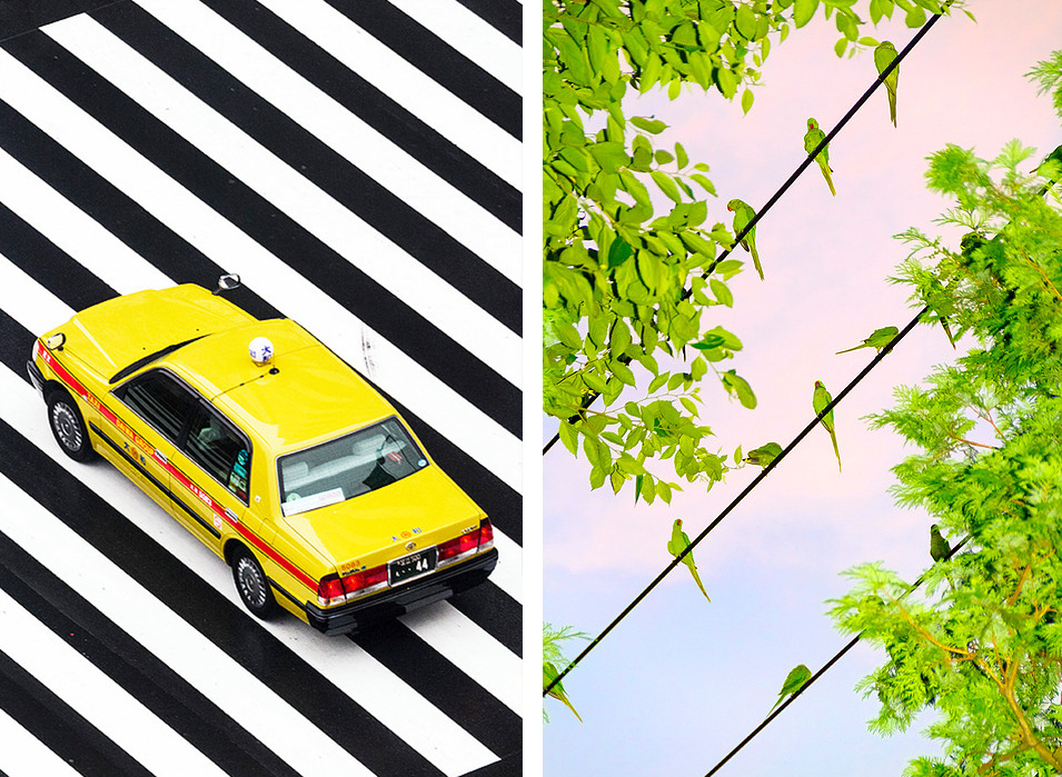 澶忓ぉ鐨勬憚褰卞笀鍐欑湡,鏃ユ湰鎽勫奖甯堟媿鍒板澶╃殑鍛抽亾