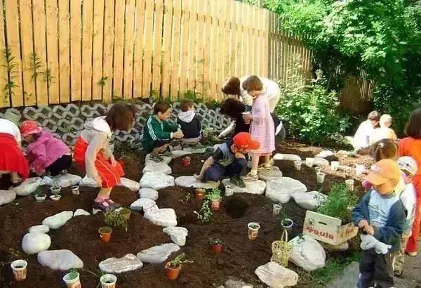 幼儿园五大领域和蒙氏教学哪个好,选择蒙氏幼儿园好还是常规幼儿园