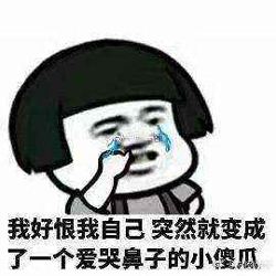 中山坦洲未来5年最新规划,中山板芙规划最新消息