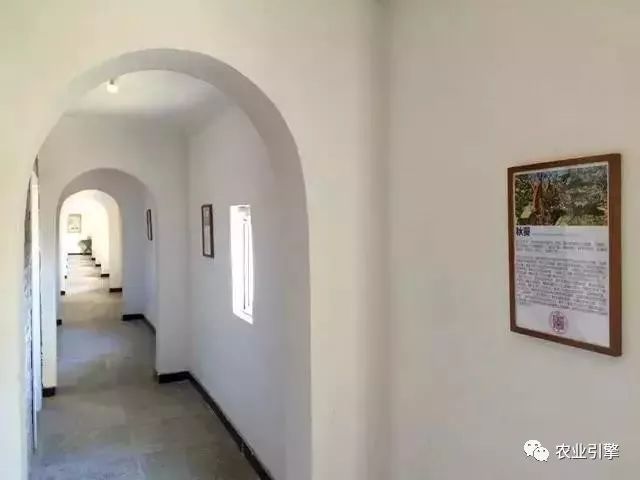 冷清的农家院被设计师折腾坏了成了京城第一精致生态农场