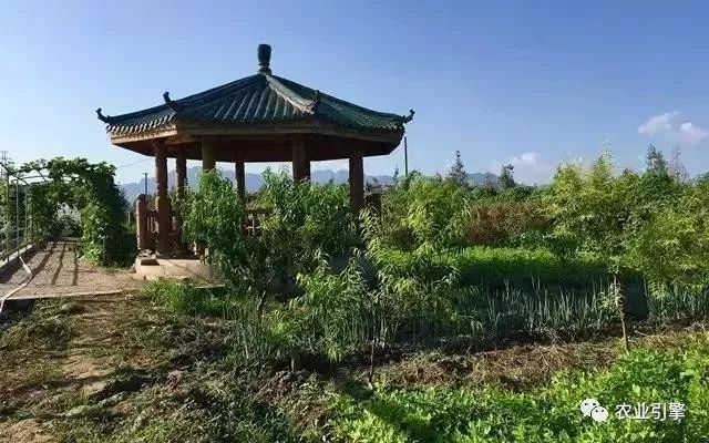 冷清的农家院被设计师折腾坏了成了京城第一精致生态农场